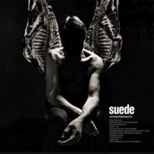 Suede-Chalked-Up-Reviews-Rock